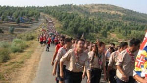 jamboree madeira